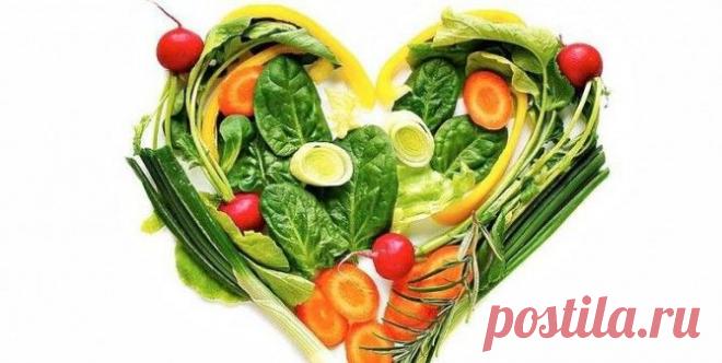 Переходим на растительную : рекомендации и рецепты здоровых блюд от доктора Кэмпбелла | Блог издательства «Манн, Иванов и Фербер»