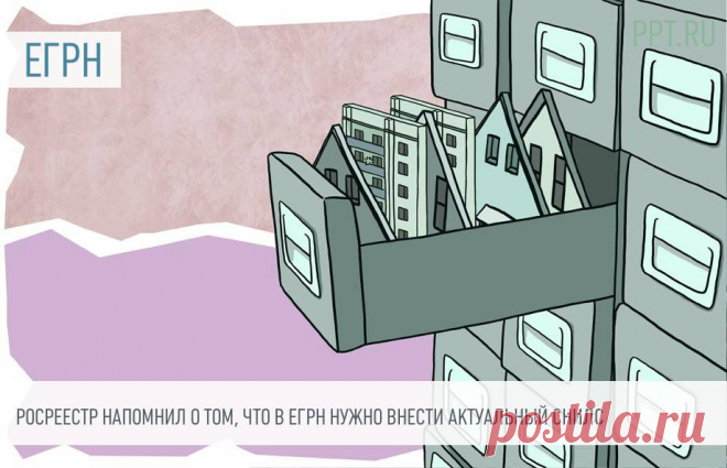 Напомнили о том, что в ЕГРН нужно внести актуальный СНИЛС При отсутствии СНИЛС в ЕГРН сведения о недвижимости отображаются некорректно.
