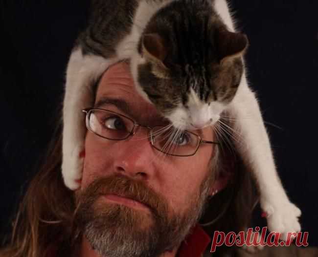 Котошапка 3