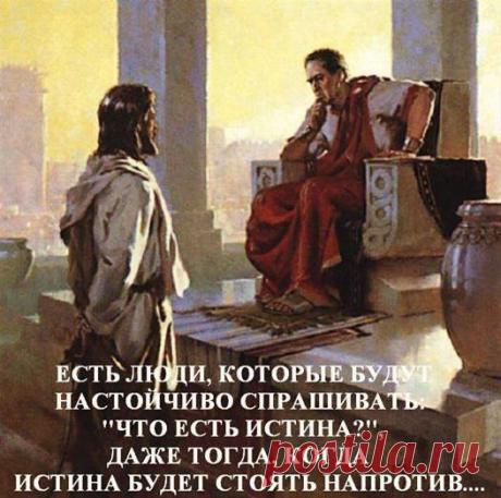 Фото пользователя Владимир, Санкт-Петербург, 51 год