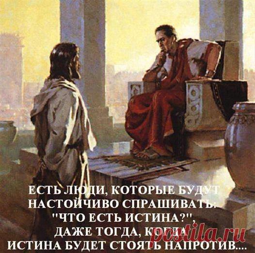 Фото пользователя Владимир, Санкт-Петербург, 51 год