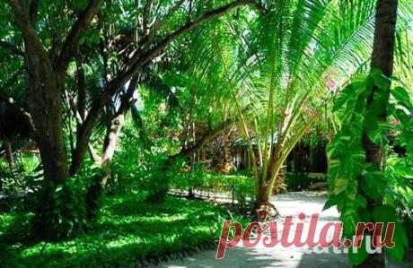 Отель Eriyadu Island Resort 4**, Мальдивы