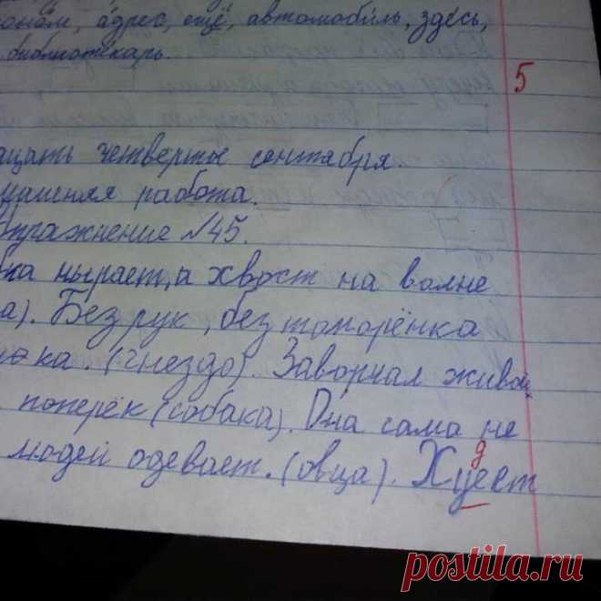 Смешные записи из школьных тетрадей