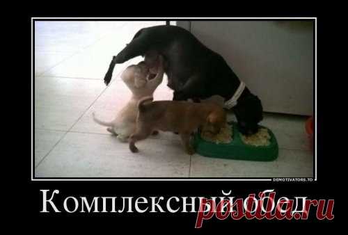 Свежий сборник демотиваторов (16 фото)
http://www.bugaga.ru/jokes/1146761894-svezhiy-sbornik..

Очередная отличная коллекция прикольных демотиваторов для поддержания вашего прекрасного настроения!

Читать далее: Свежий сборник демотиваторов (16 фото)