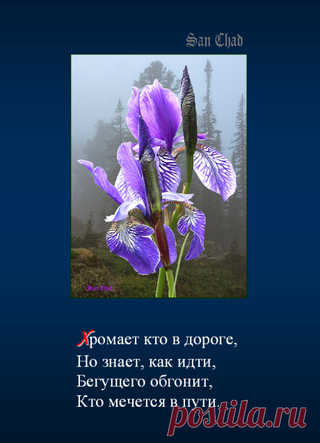Софиты - от слова София-мудрость * поэтические строки о мудрости.