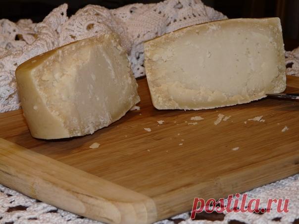 Многие спрашивают : отчего горечь в сырах ? Причин много напишу основные : 1) молоко должно быть зрелым, т.е. с определённым уровнем кислоты, для чего ? т.к. молочные мезофильные культуры всегда находятся в молоке, они перерабатывают лактозу , вырабатывают молочную кислоту, создают среду неблагоприятную для развития патогенных культур ; молоко не должно быть излишне жирным ( особенно сейчас это вопрос встаёт очень остро, т.к осеннее молоко отличается большим содержанием жи...