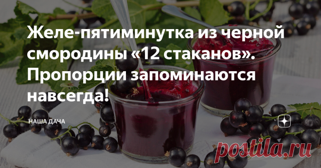 Желе-пятиминутка из черной смородины «12 стаканов». Пропорции запоминаются навсегда! Этот рецепт мне моя свекровь подсказала, замечательное лакомство получается. Особенно, когда варенье свежесваренное, да с мягкой свежей булкой… М-м-м… Уже хочется! За пять минут ягоды не успевают развариться, остаются мягкими и целенькими, а само варенье, когда остывает, превращается в настоящее желе, благодаря пектину, содержащемуся в смородине. Варенье получается очень вкусным, попробуйте!