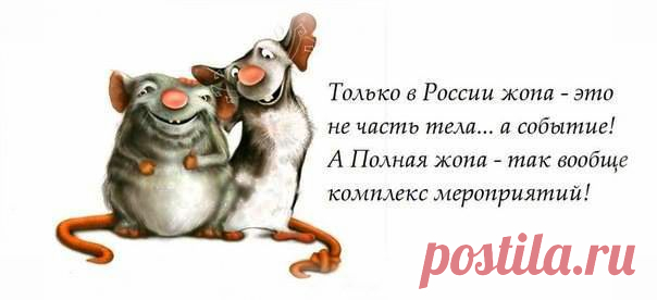 Новости