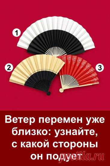 Ветер перемен всегда приходит неожиданно. Он может быть мягким и едва ощутимым или сильным, словно ураган. Именно он несёт то, что должно войти в вашу жизнь и изменить её. Перед вами тест с веерами, каждый из которых хранит тайное предсказание. Прислушайтесь к своей интуиции и выберите тот, который сразу привлёк внимание. Судьба откроет, что готовит вам ближайшее будущее и каким будет новый этап вашей жизни.
