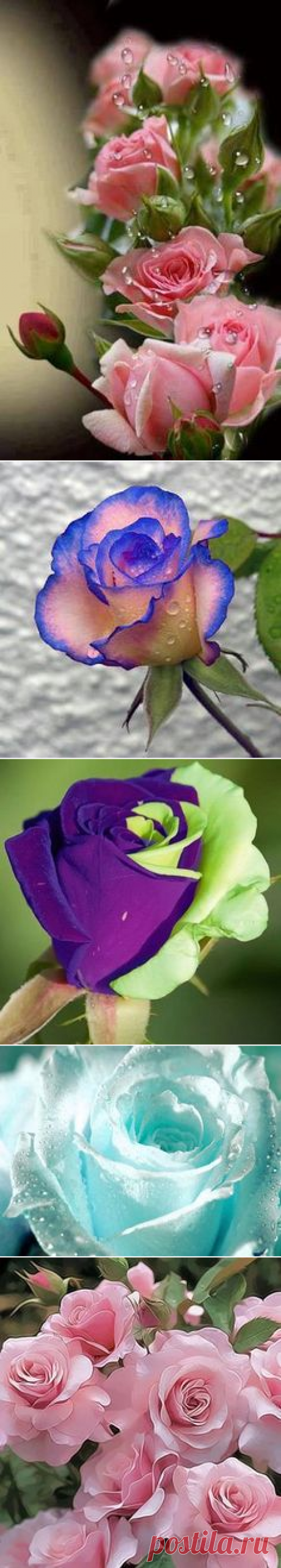 (2) Pinterest: инструмент для поиска и хранения интересных идей