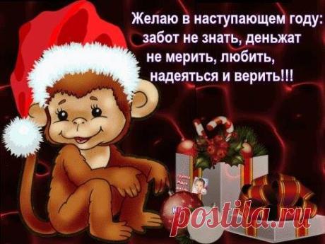 Пост «Год красной обезьяны» в блоге Vladimir Pogorelov