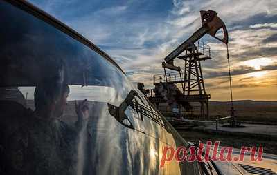 Пушков: другие страны не смогут заменить объемы российской нефти. Сенатор уточнил, что Россия обеспечивает около 10% мировых поставок этого продукта