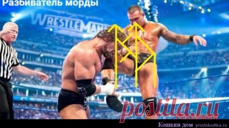 Став Разбиватель морды | Кошкин дом