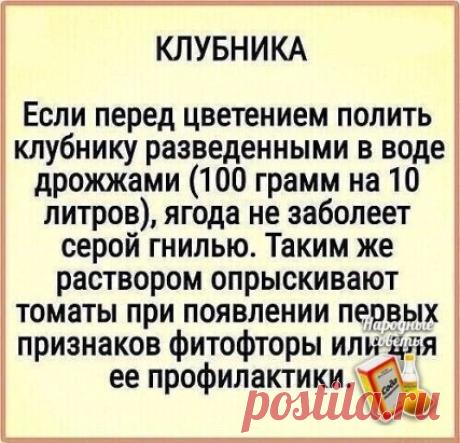 Ο клубничке!