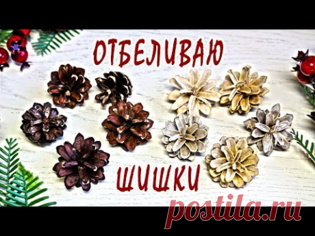Как сделать БЕЛЫЕ ШИШКИ для поделок / Мой эксперимент с шишками сосны