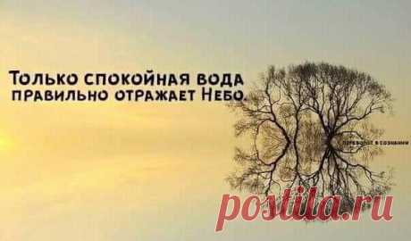 (20+) Facebook