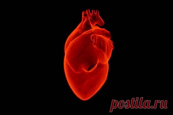 Учеными предложены новые методы защиты сердца от стресса Учеными Марийского государственного университета ведутся исследования новых методов защиты сердца от стресса и ряда опасных патологий.Данные Всемирной Федерации сердца показывают, что сердечно-сосудистые заболевания уже более двух столетий держат первенство в списке главных причин...