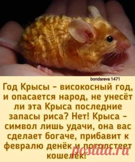 Придерживайтесь позитивного мышления