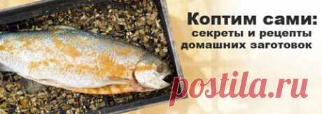 Коптим сами: секреты и рецепты домашних заготовок | Passion.ru