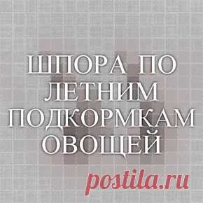 ШПОРА ПО ЛЕТНИМ ПОДКОРМКАМ ОВОЩЕЙ
