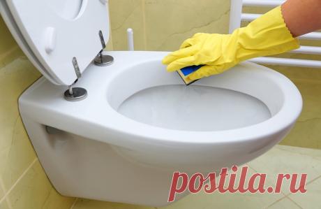 Как часто нужно чистить туалетную комнату и унитаз: мнение специалиста