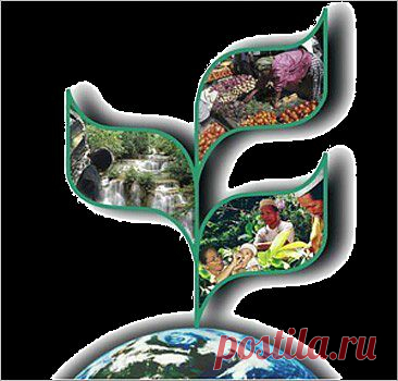 Подборка интересных и полезных сайтов Рунета.