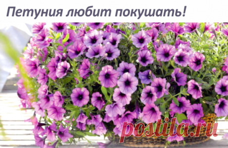 Почта Mail.ru