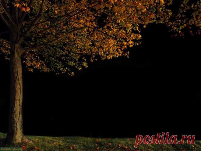 3 топовых методов выделения в Adobe Photoshop - Demiart Photoshop