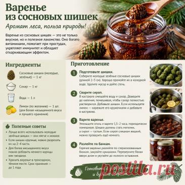 Варенье из сосновых шишек
