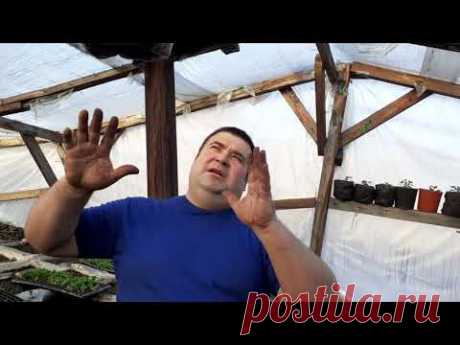 Супер кашпо для петуний своими руками бесплатно.