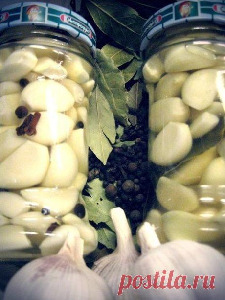 маринованный чеснок