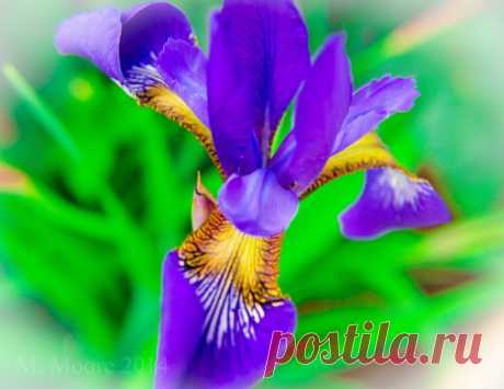 Google+