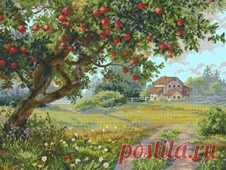 K-255 The Old Apple Tree