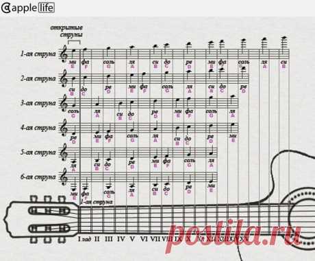 гитара ноты для начинающих