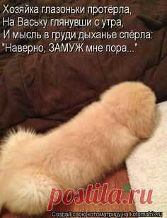 Хозяйка глазоньки протёрла, На Ваську глянувши с утра, И мысль в груди дыханье спёрла: 