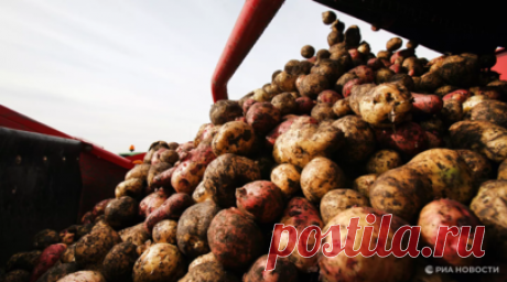 В Тюменской области началась уборочная кампания. Уборочная кампания началась в Тюменской области, заявили в информационном центре правительства региона. Читать далее