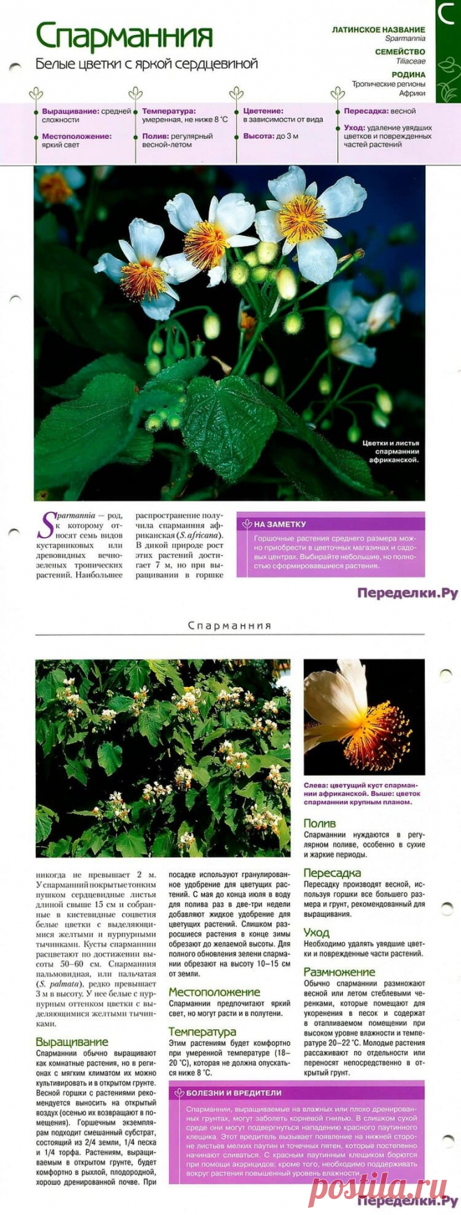 Спарманния * Переделки.РуПеределки.Ру