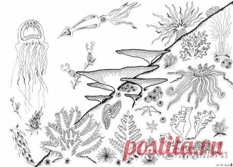 мультяшное морское дно: 19 тыс изображений найдено в Яндекс.Картинках