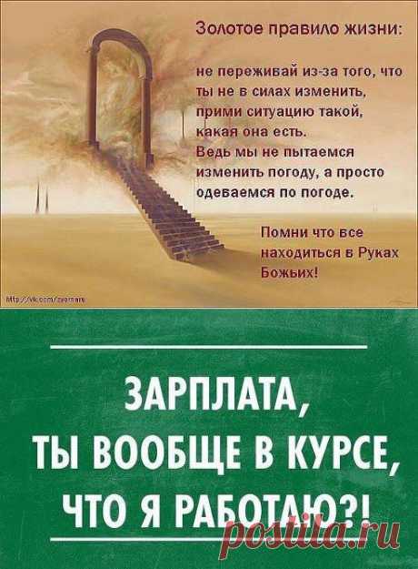 (59) Одноклассники