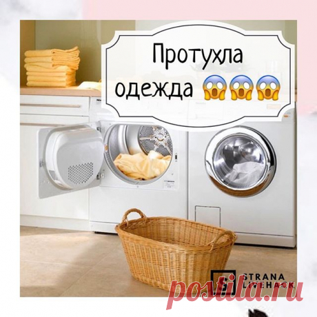 На изображении может находиться: в помещении и еда