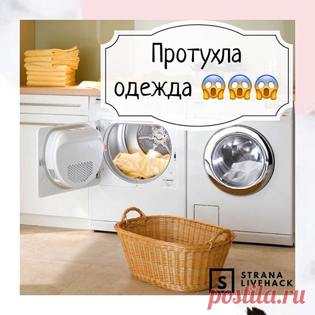 На изображении может находиться: в помещении и еда