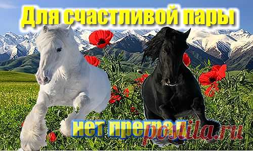 Чего вы ждёте от семьи? Многие люди даже не задумываются, для чего они её создают.