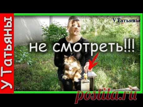 Слабонервным и Алкоголикам НЕ СМОТРЕТЬ!!! Самый кощунственный метод борьбы с ТЛЕЙ!