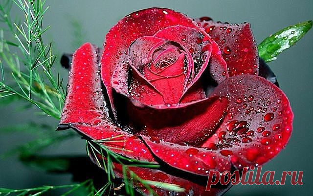 Ирина Георгиевна Я
Россия, Иди с Богом
все её фото