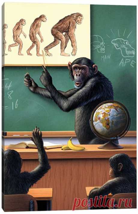 Primate Art: Canvas Prints & Wall Art | iCanvas