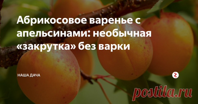 Абрикосовое варенье с апельсинами: необычная «закрутка» без варки Попался мне на глаза рецепт «сырого» абрикосового варенья, который я успешно реализовала. Ну, сырое оно относительно – один раз вам его все равно придется нагреть, но только довести до кипения, и все.  Боюсь, варенье это до зимы оно не доживет: остатки, не влезшие в банку, уже успешно уничтожены, а глаз неизменно цепляет баночки лакомства каждый раз, когда я лезу за чем-то в холодильник