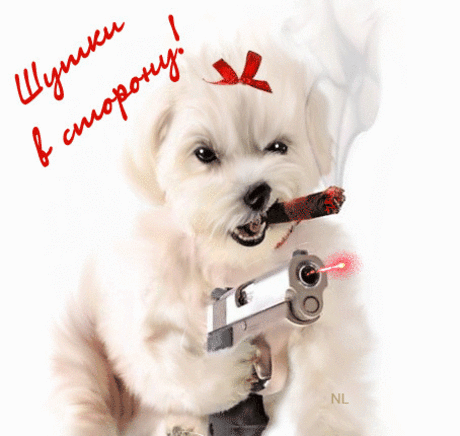 Шутки в сторону! - открытки и картинки Шутки в сторону! - С надписями красивые открытки для поздравления и анимационные картинки на праздник