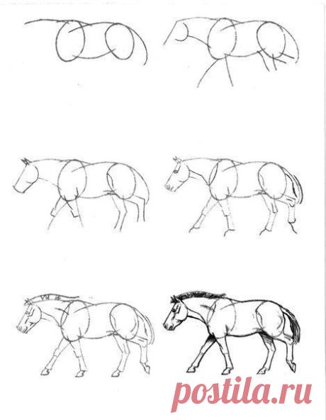 Интересные новости