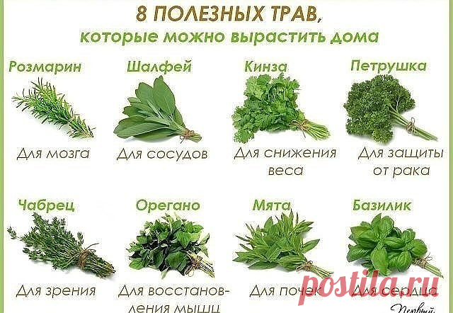 Берём  НА  ЗАМЕТКУ