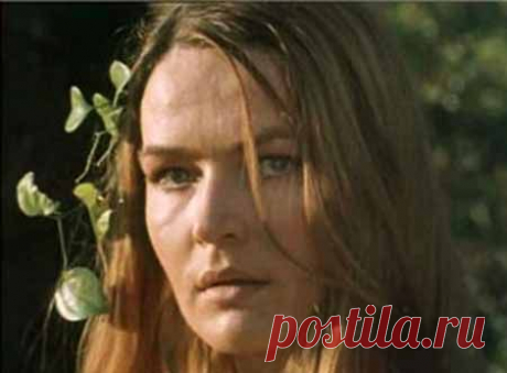 Заговор на остановку кровотечения | Бытовая магия